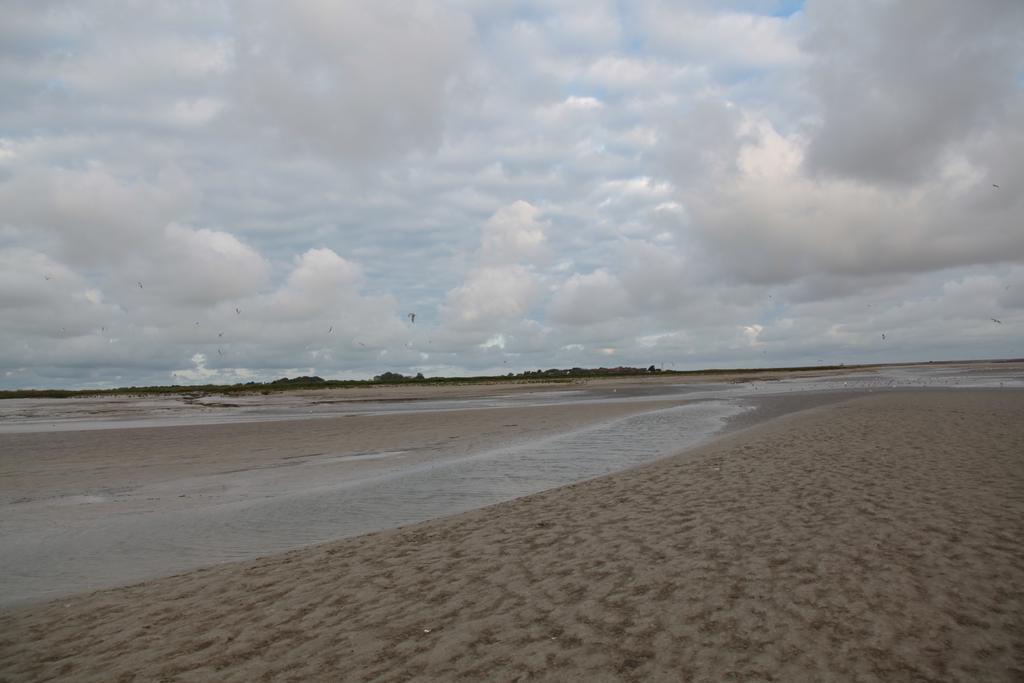 Gite Les Vents Du Large L'Aigrette เลอโครทัว ภายนอก รูปภาพ